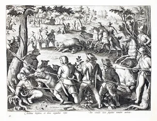 Bärenjagd mit Hunden und Speeren, Illustration aus 